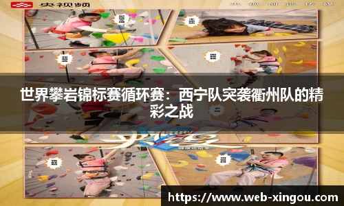 星欧官方网站