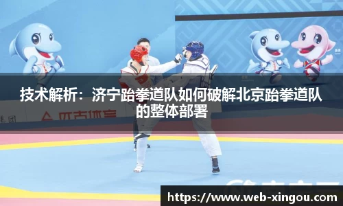 星欧官网