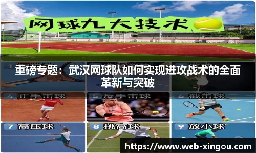 星欧官网
